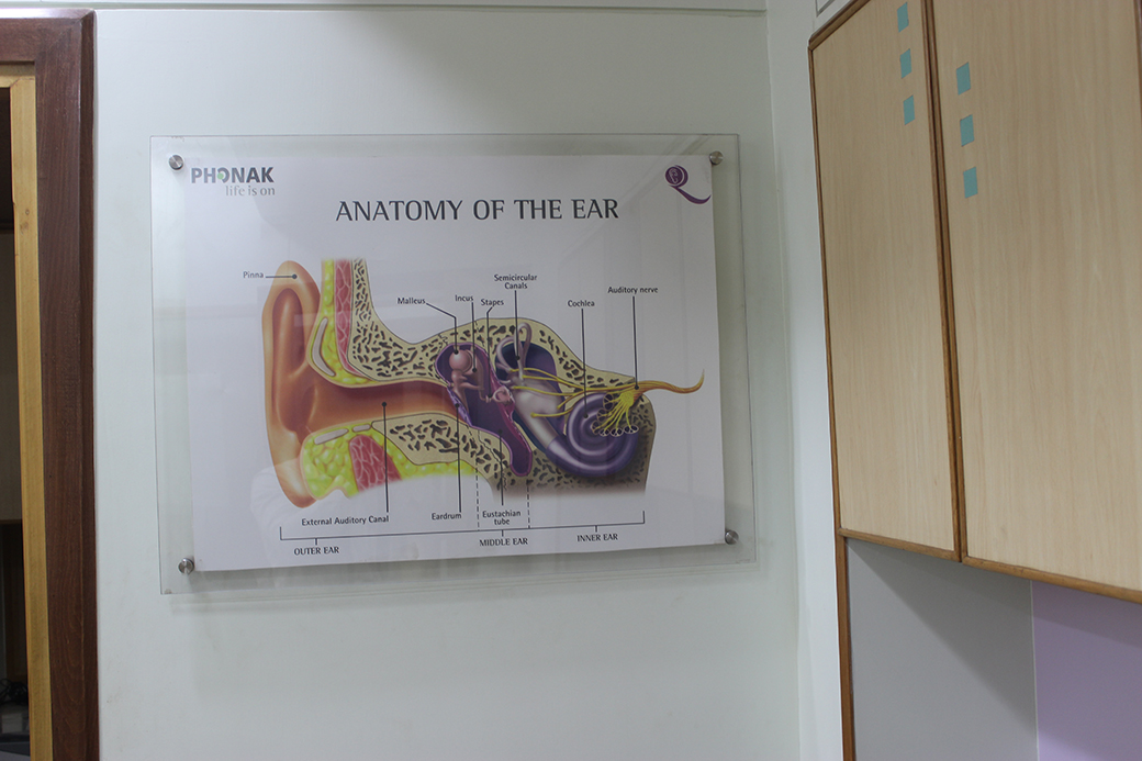 Anatomy of the ear — the explanation poster used with patients.